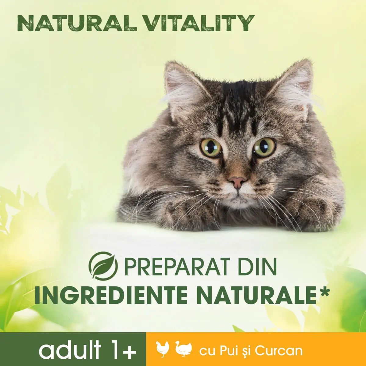 PERFECT FIT Natural Vitality, Pui si Curcan, hrana uscata pisici, 650g - Image 5