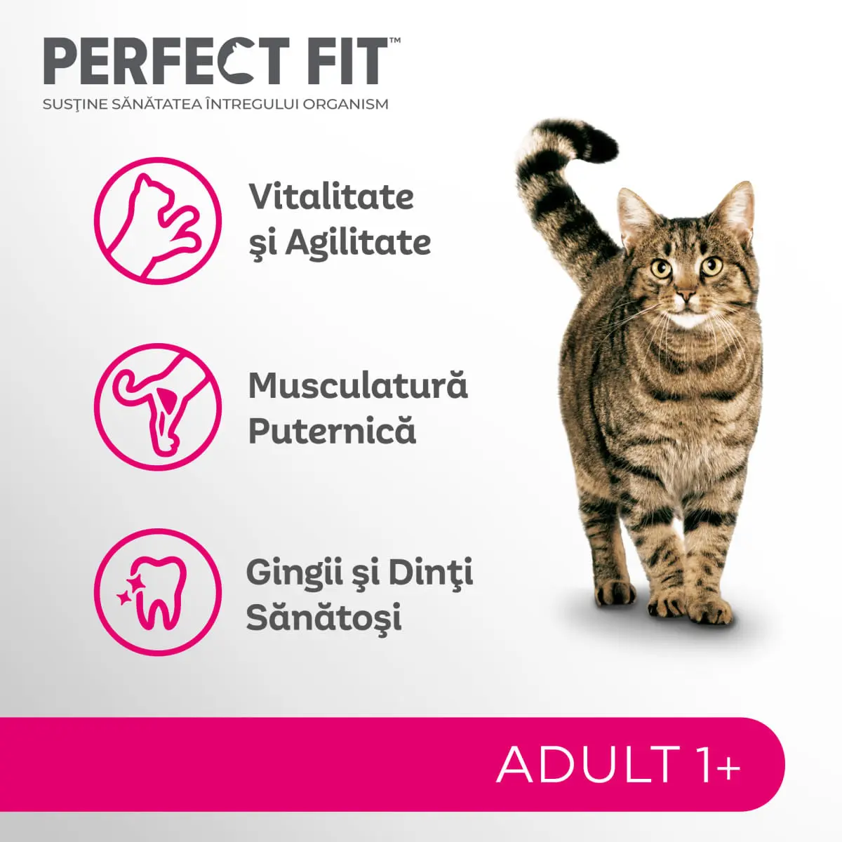 PERFECT FIT Cat Adult 1+, Somon, hrana uscata pisici, 750g - Image 5
