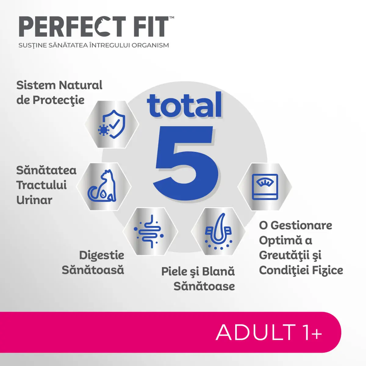 PERFECT FIT Cat Adult 1+, Somon, hrana uscata pisici, 750g - Image 6