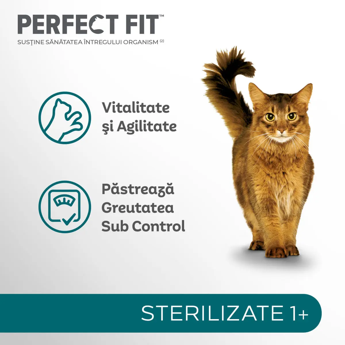 PERFECT FIT Cat Sterile 1+, Pui, hrana uscata pisici sterilizate, 7kg - Image 4