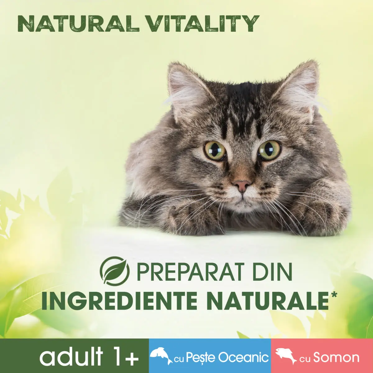 PERFECT FIT Natural Vitality, Somon si Peste, plic hrana umeda fara cereale pisici, (in sos), multipack, 50g x 6buc - Image 5