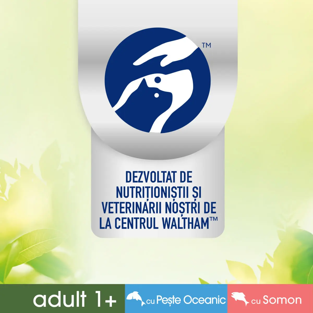 PERFECT FIT Natural Vitality, Somon si Peste, plic hrana umeda fara cereale pisici, (in sos), multipack, 50g x 6buc - Image 6