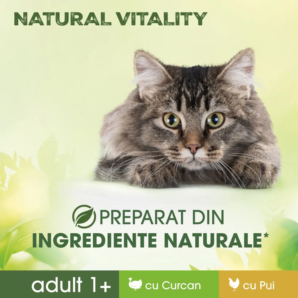 PERFECT FIT Natural Vitality, Curcan si Pui, plic hrana umeda fara cereale pisici, (in sos), multipack, 50g x 6buc - Image 6