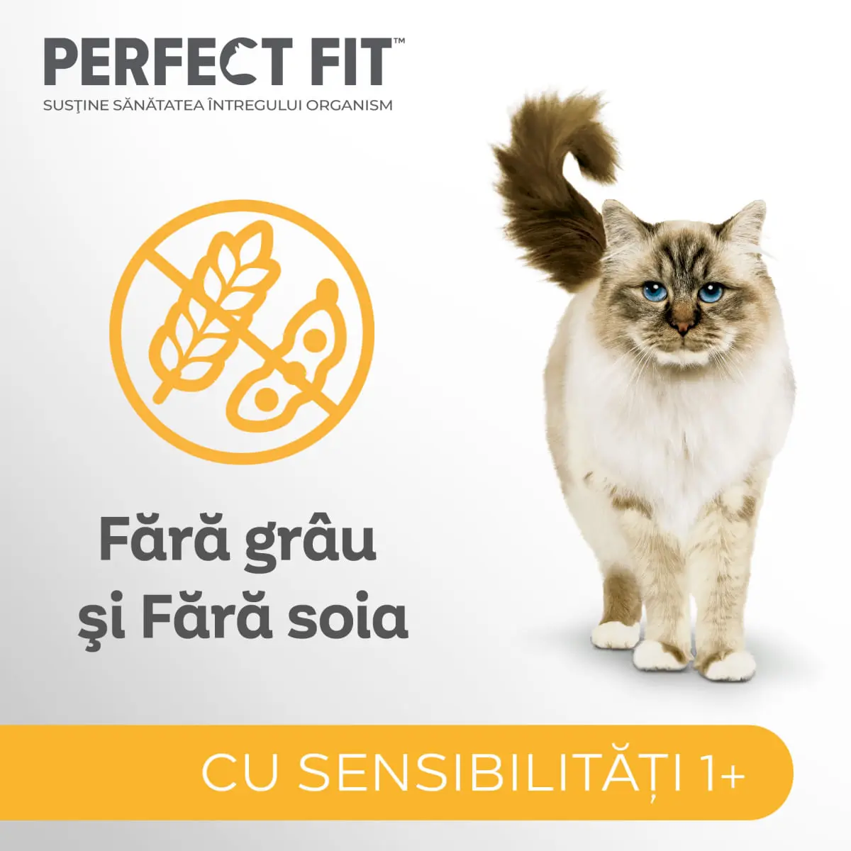 PERFECT FIT Cat Sensitive 1+ , Pui, plic hrana umeda pisici, sistem digestiv, (in sos), bax, 85g x 24buc - Image 5