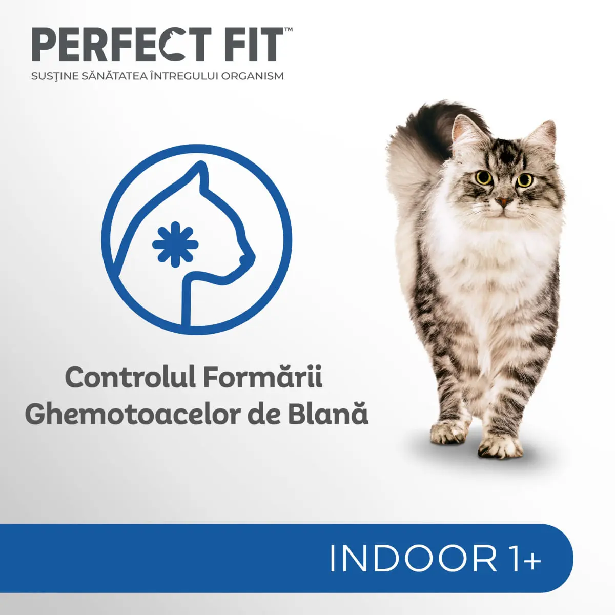PERFECT FIT Cat Indoor 1+, Pui, plic hrana umeda pisici, (in sos), bax, 85g x 24buc - Image 5