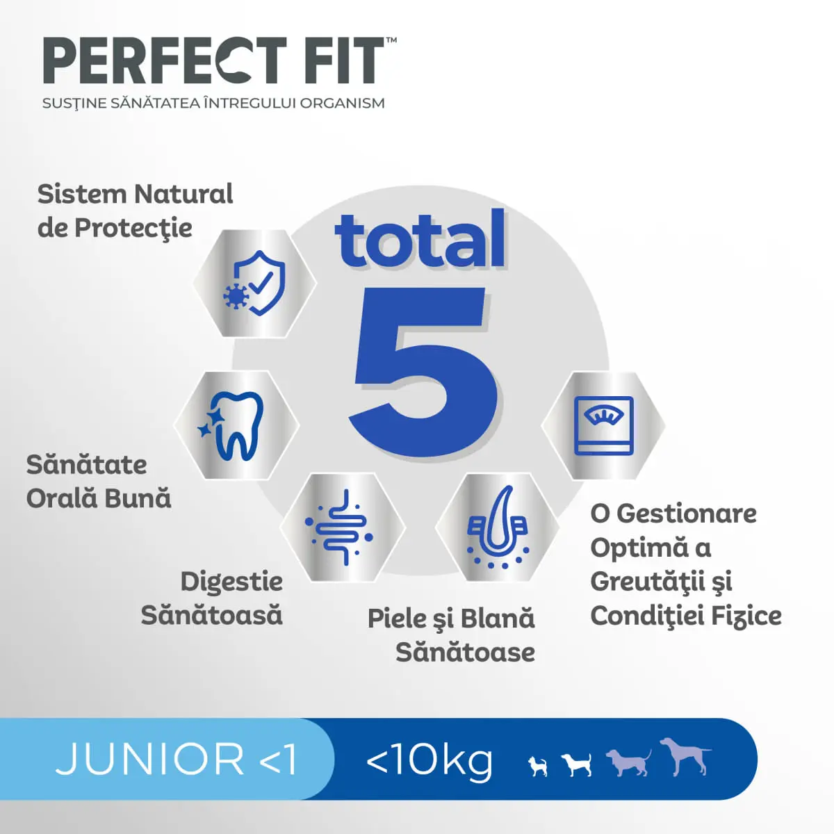 PERFECT FIT Dog Junior Small, XS-S, Pui, hrana uscata caini junior, 825g - Image 11