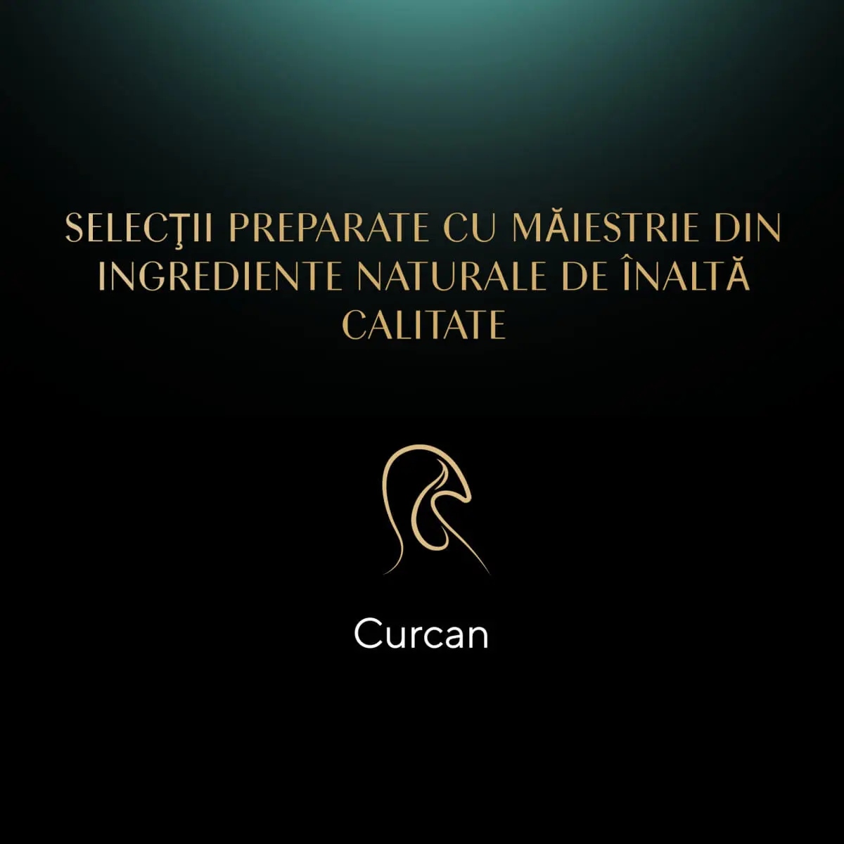SHEBA Nature's Collection, Curcan si Legume, plic hrana umeda fara cereale pisici, (in aspic), 85g - Image 5