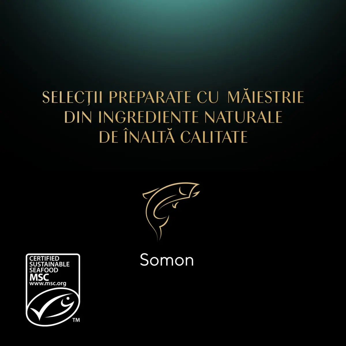 SHEBA Nature's Collection, Somon, plic hrana umeda fara cereale pisici, (in sos), bax, 85g x 12buc - Image 5