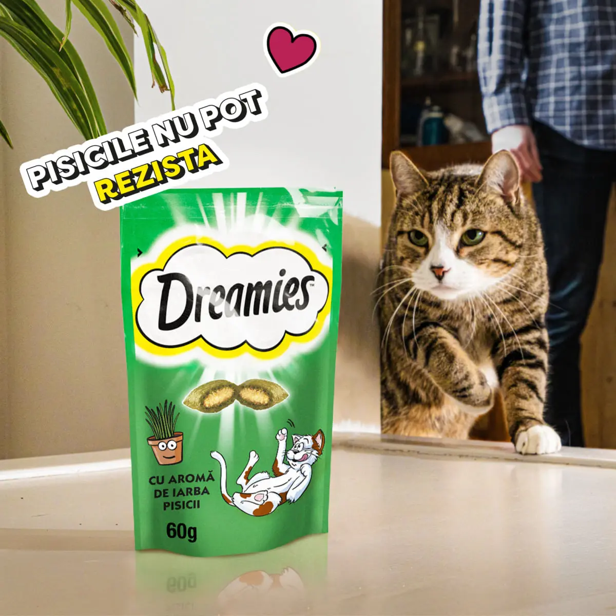 DREAMIES Catnip, punguta recompense pisici, 60g - Image 7