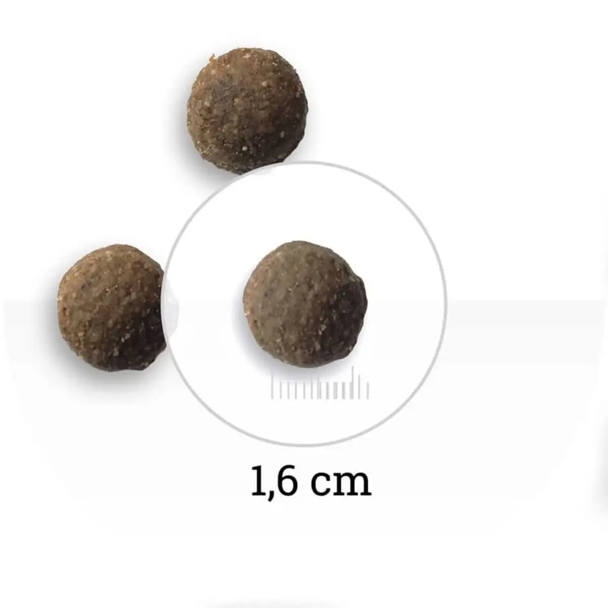 BON APPETIT, XS-XL, Miel si Somon, hrana uscata caini, alergii, 12kg - Image 3