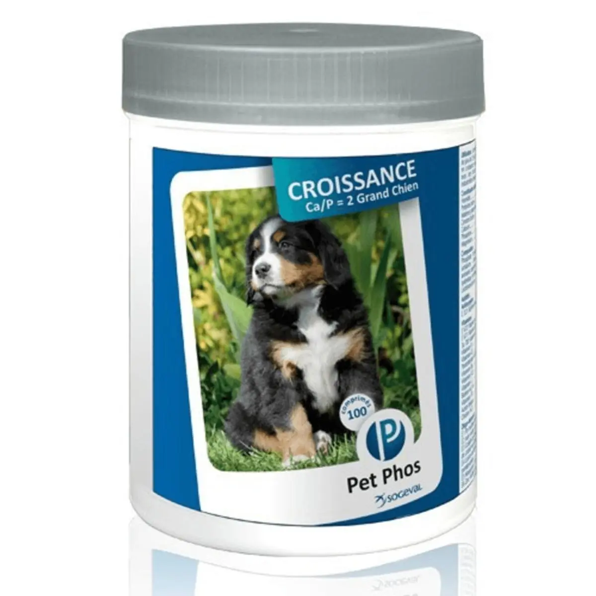 PET PHOS Croissance Grand Chien Ca/P=2, L-XL, supliment sistem osos caini junior, flacon, 100 comprimate