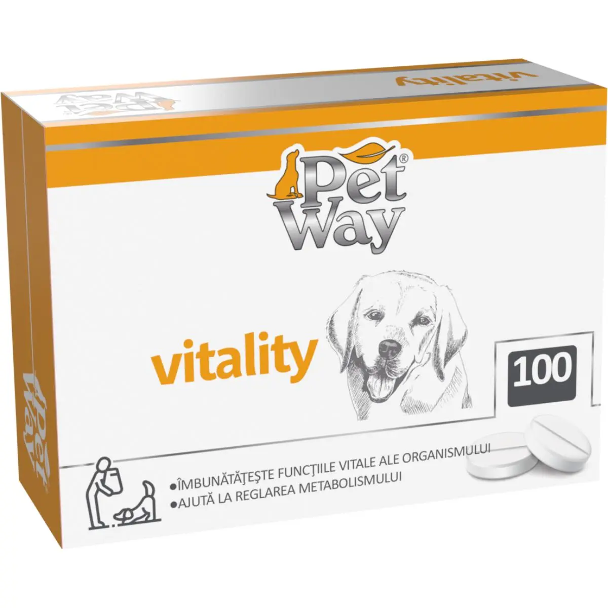 PETWAY Vitality, XS-XL, supliment multivitamine, sistem imunitar & alergii caini, cutie, 100 comprimate - Image 3