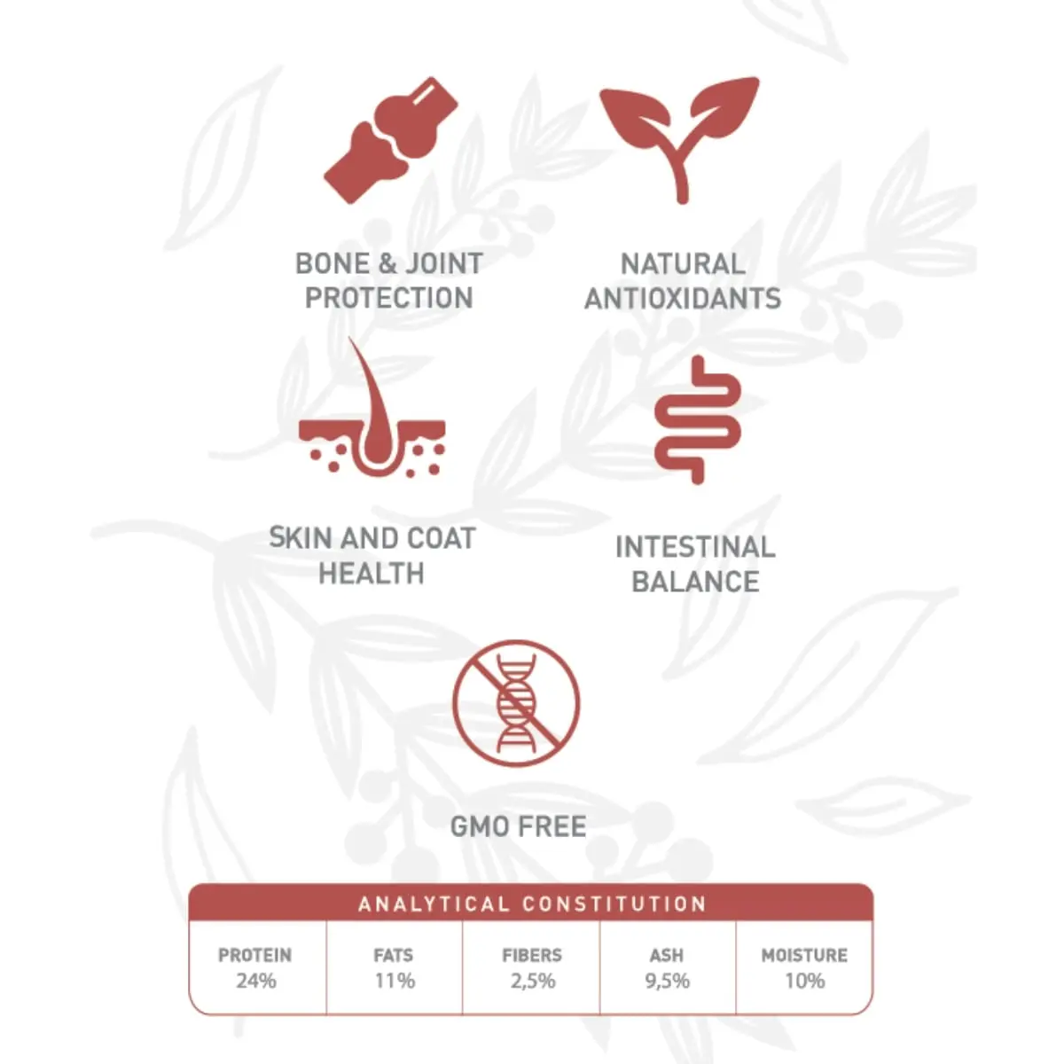 WEEGO, XS-XL, Miel si Goji, hrana uscata caini, 12kg - Image 5