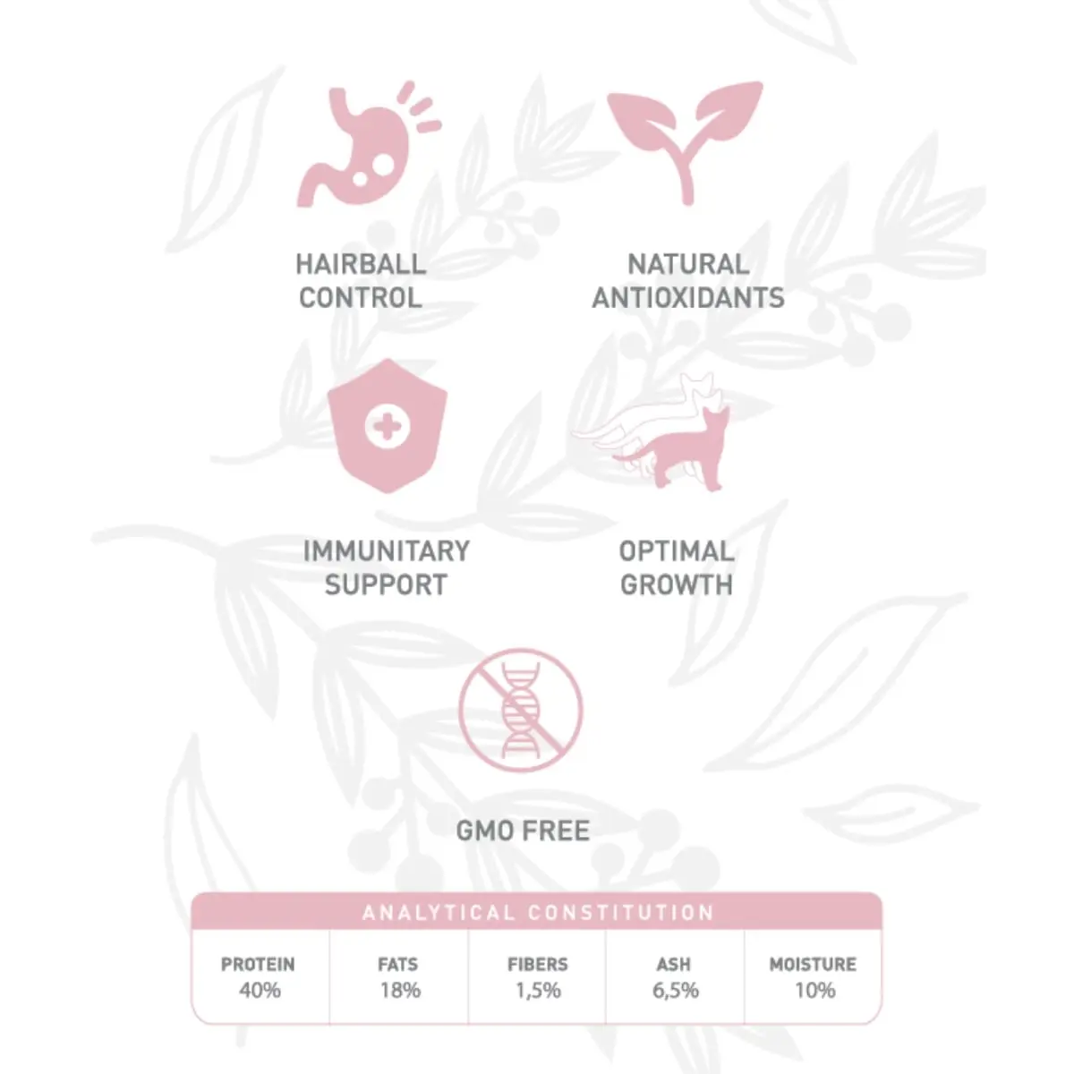 WEEGO Kitten, Pui si Ou, hrana uscata fara cereale pisici junior, 1.5kg - Image 5