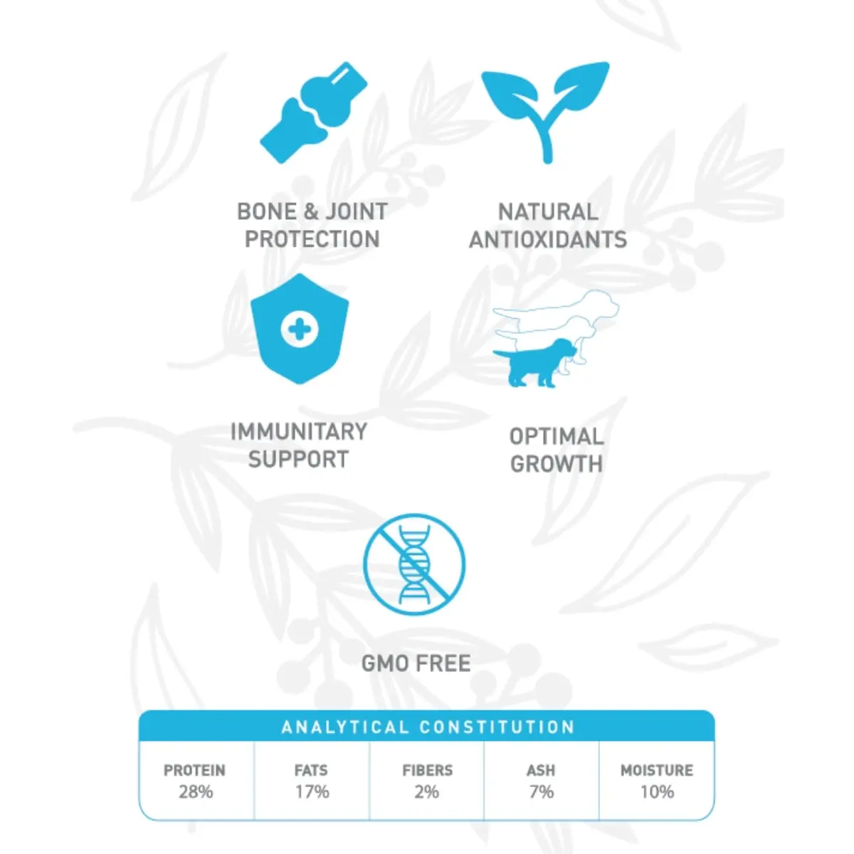 WEEGO Puppy & Junior, XS-XL, Pui si Rodie, hrana uscata caini junior, 3kg - Image 5