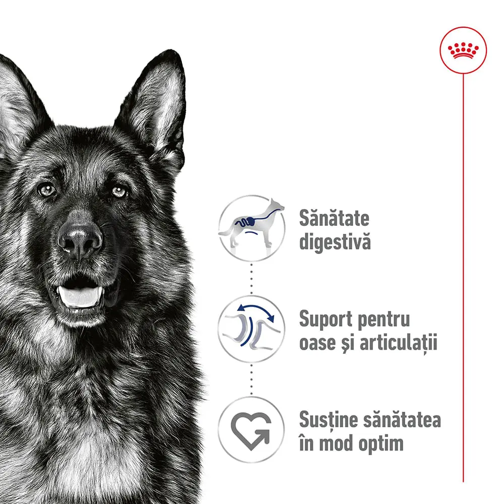 ROYAL CANIN Maxi Adult, hrana umeda caini, (in sos), 140g - Image 3