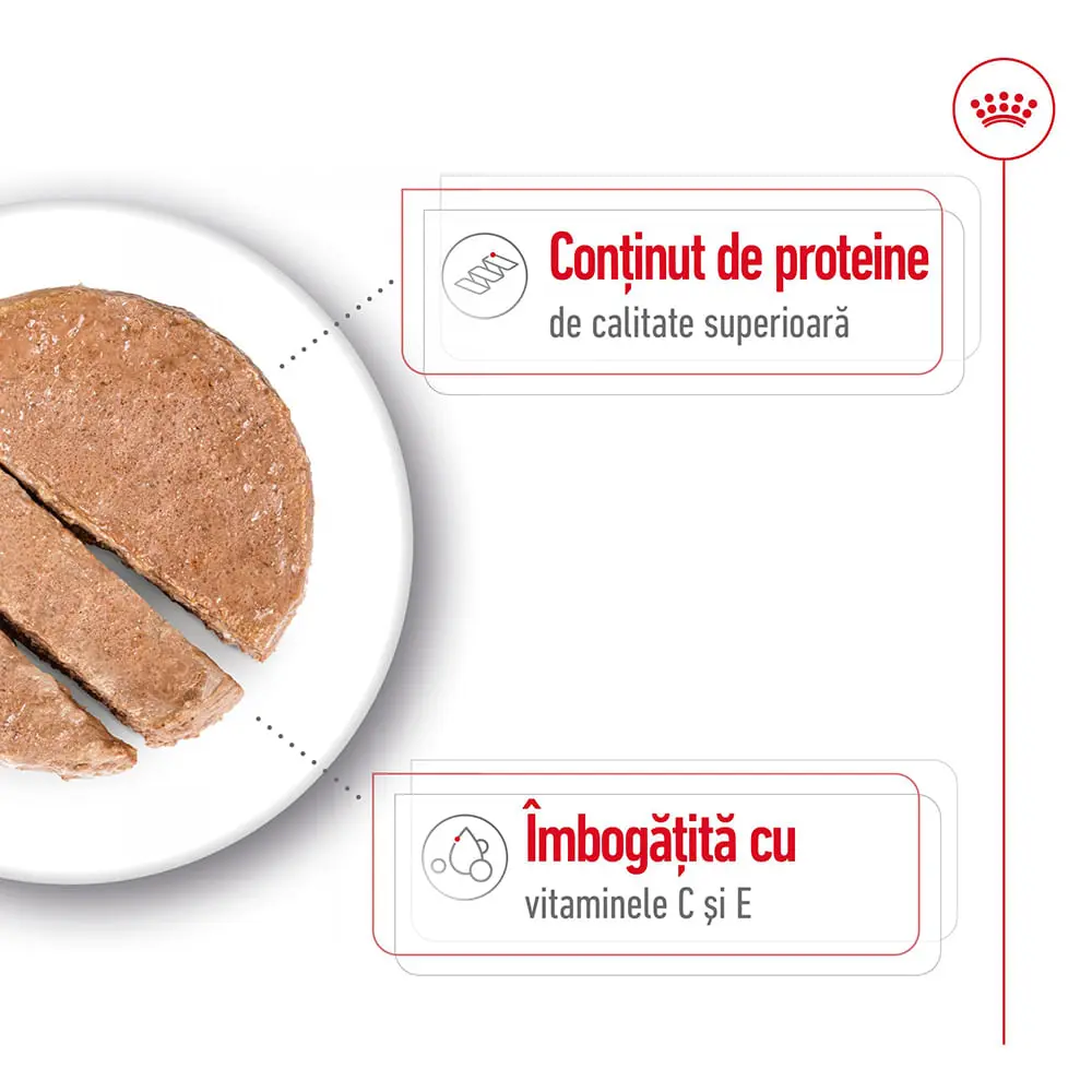 ROYAL CANIN Medium Adult hrana umeda caini (pate), 410g - Image 4