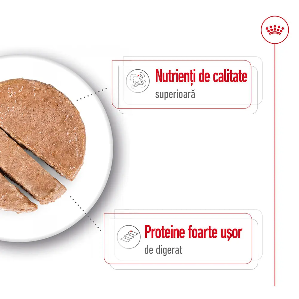 ROYAL CANIN Maxi Adult hrana umeda caini (pate), 410g - Image 4