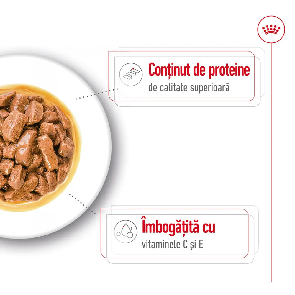 ROYAL CANIN Medium Adult hrana umeda caini (in sos), 140g - Image 4