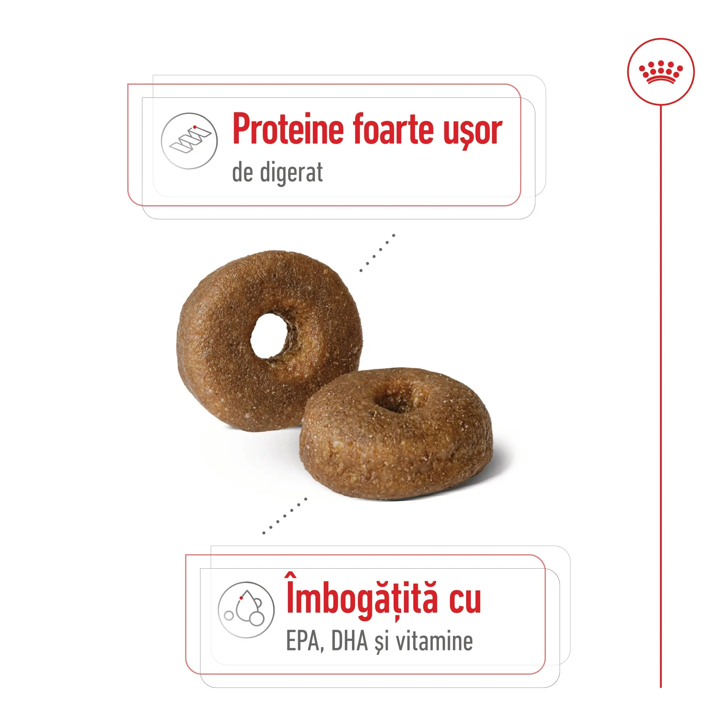 ROYAL CANIN Maxi Ageing 8+, hrana uscata caini, 15kg - Image 4