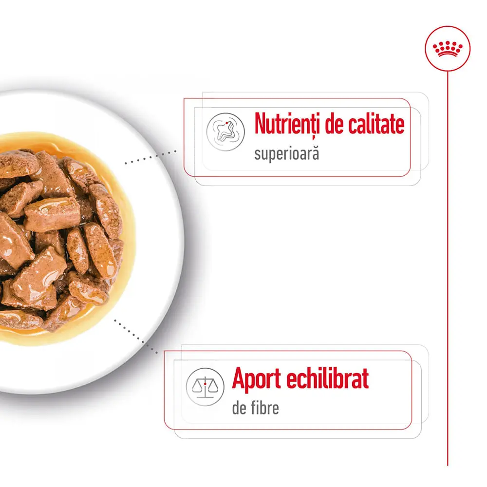 ROYAL CANIN Maxi Adult, hrana umeda caini, (in sos), 140g - Image 4