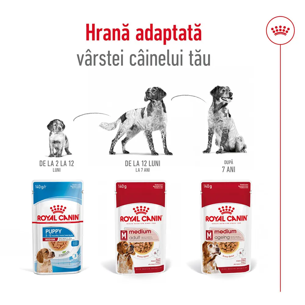 ROYAL CANIN Medium Adult hrana umeda caini (in sos), 140g - Image 7