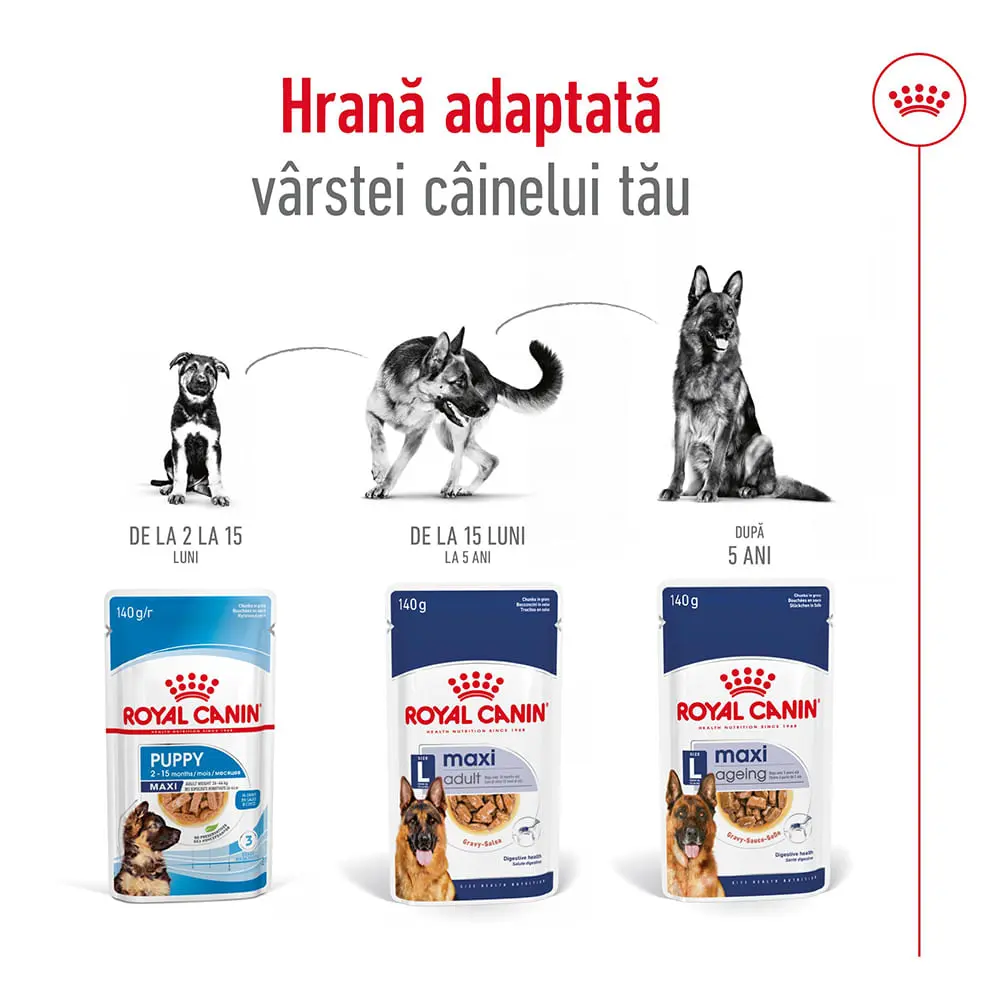 ROYAL CANIN Maxi Adult, hrana umeda caini, (in sos), 140g - Image 7