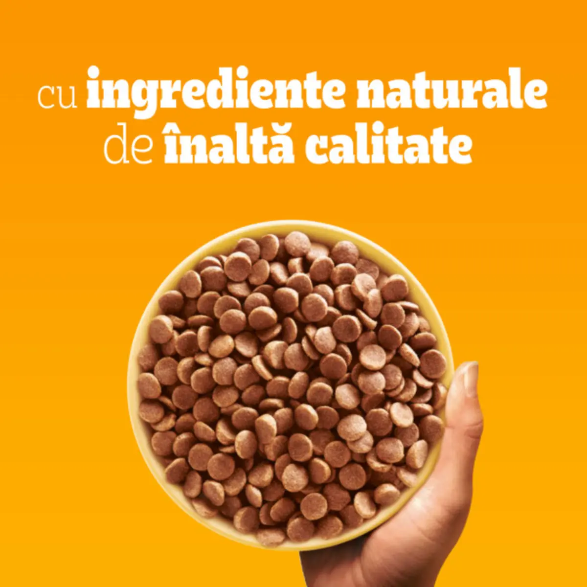 PEDIGREE Mini Adult, XS-S, Pasare si Legume, hrana uscata caini, 500g - Image 9