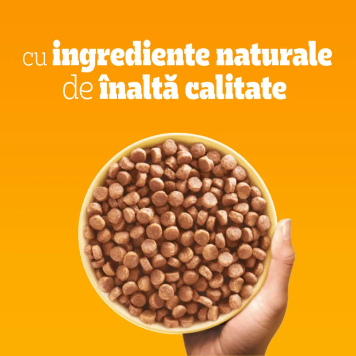 PEDIGREE Junior Mini, XS-S, Pasare si Legume, hrana uscata caini junior, 500g - Image 9