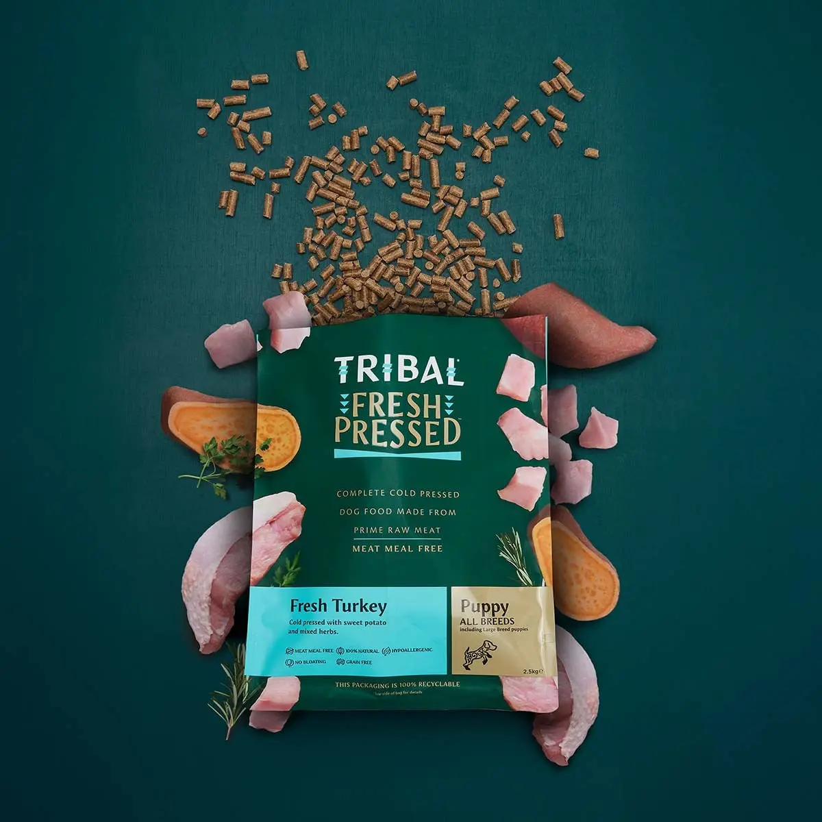 TRIBAL Fresh Pressed Puppy, XS-XL, Curcan, hrana uscata fara cereale caini junior, presata la rece, 5kg - Image 2