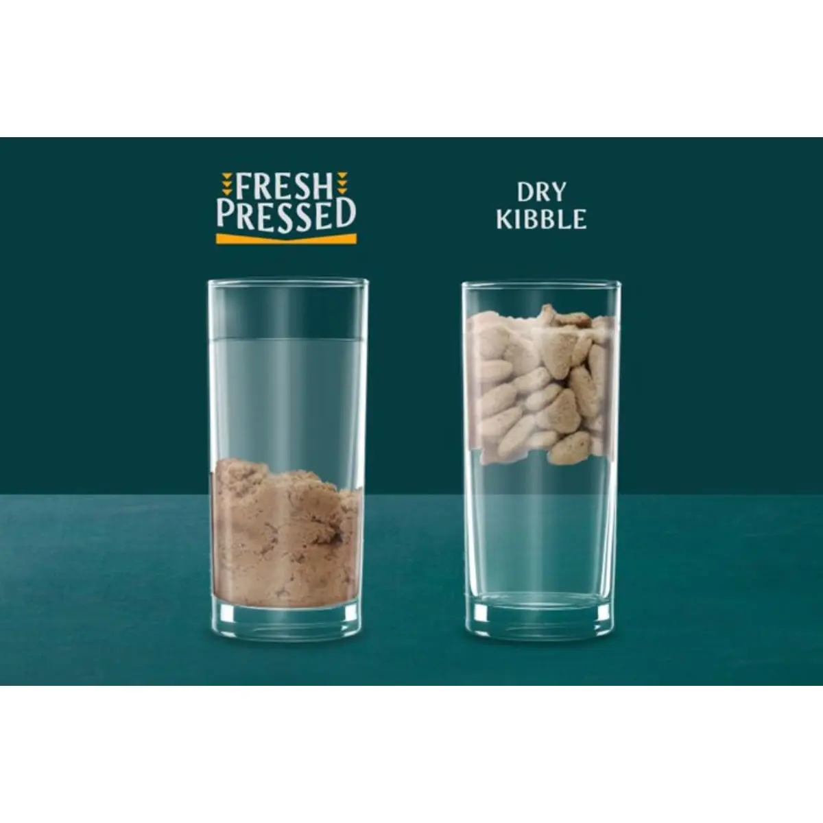 TRIBAL Fresh Pressed, XS-XL, Somon, hrana uscata fara cereale caini, presata la rece, 12kg - Image 5