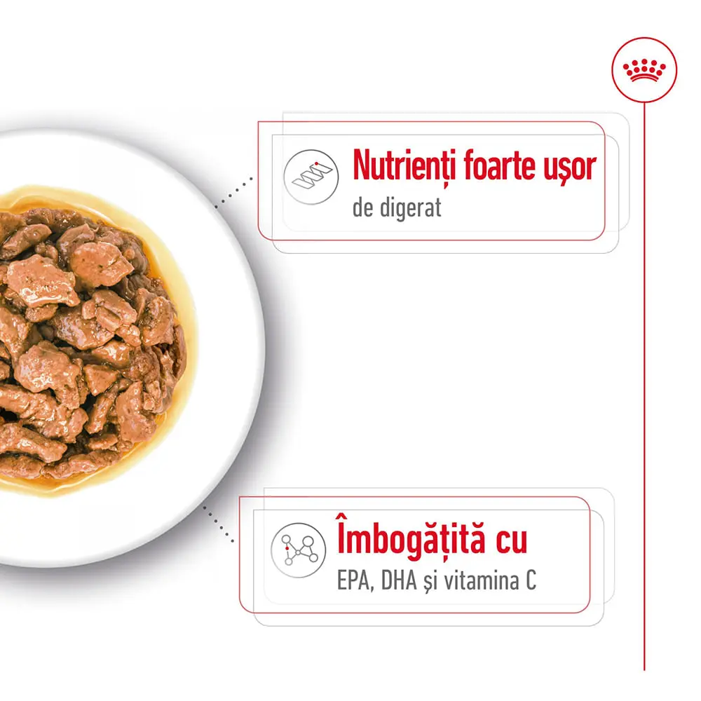 ROYAL CANIN X-Small Adult hrana umeda caini (in sos), bax, 85g x 12buc - Image 4