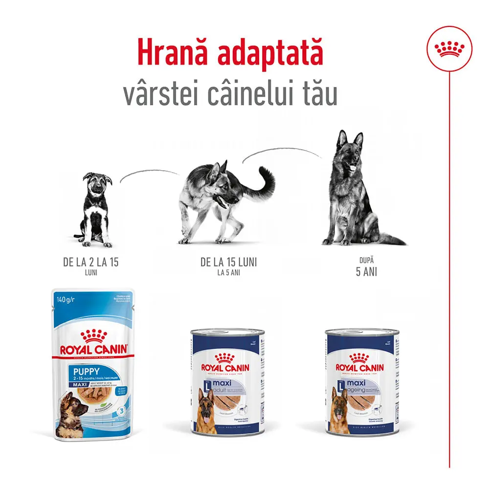 ROYAL CANIN Maxi Adult hrana umeda caini (pate), bax, 410g x 12buc - Image 7