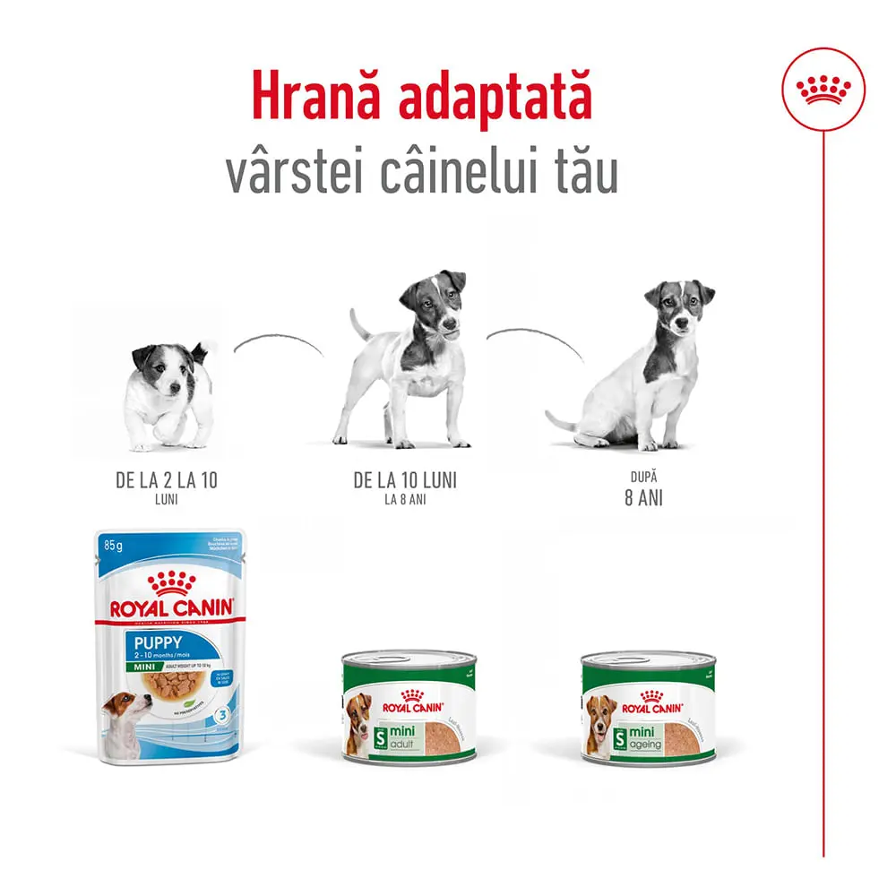 ROYAL CANIN Mini Adult hrana umeda caini (pate), bax, 195g x 12buc - Image 7