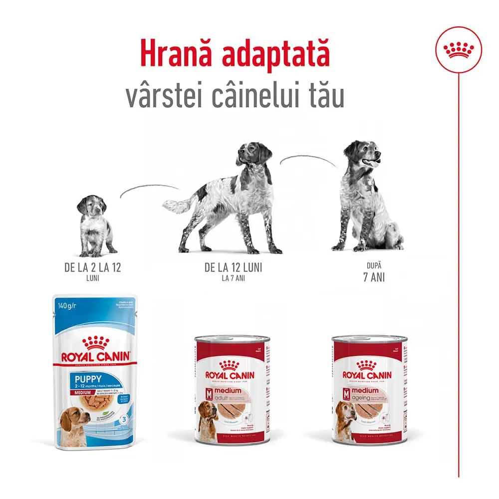 ROYAL CANIN Medium Adult hrana umeda caini (pate), bax, 410g x 12buc - Image 7