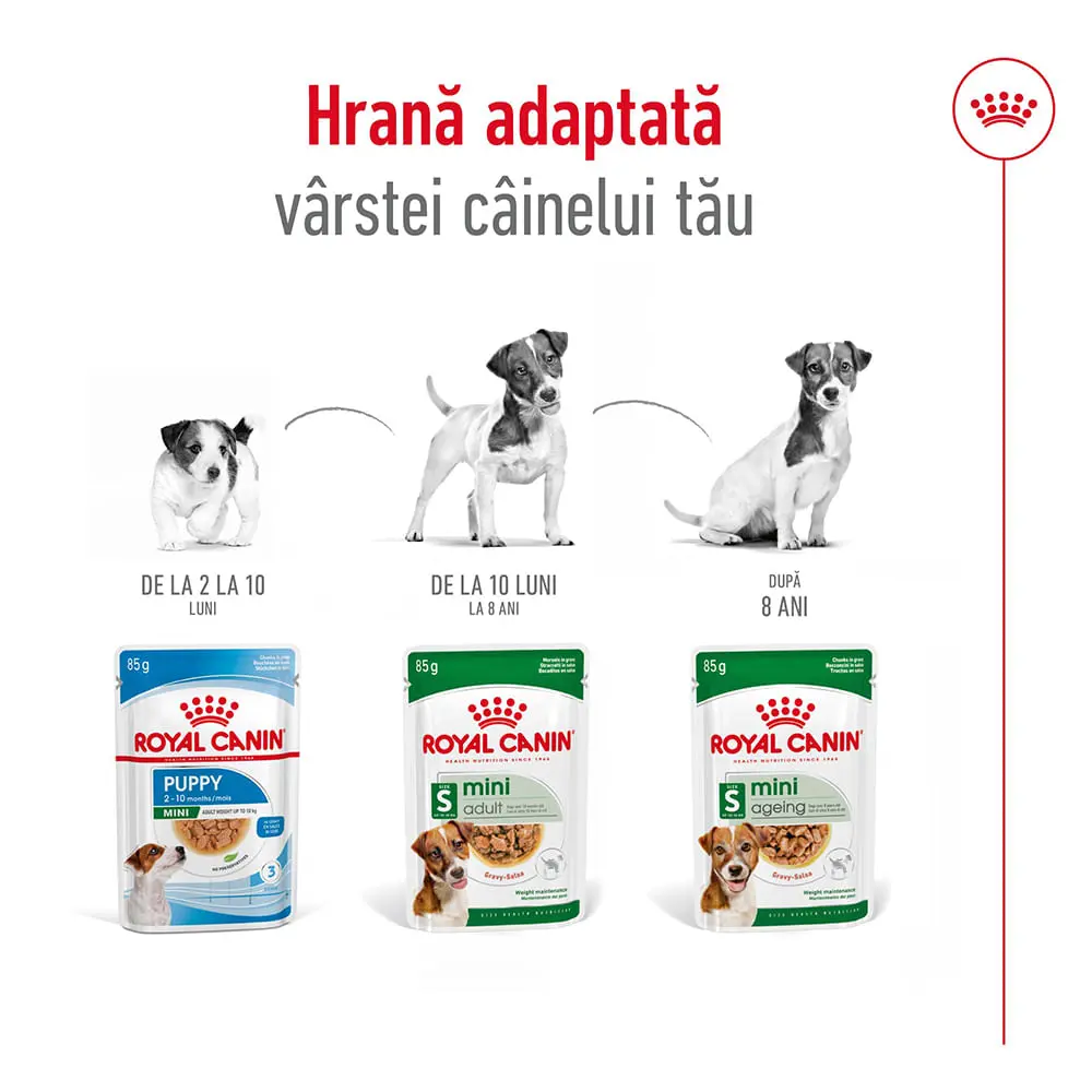 ROYAL CANIN Mini Adult, hrana umeda caini, (in sos), bax, 85g x 12buc - Image 7