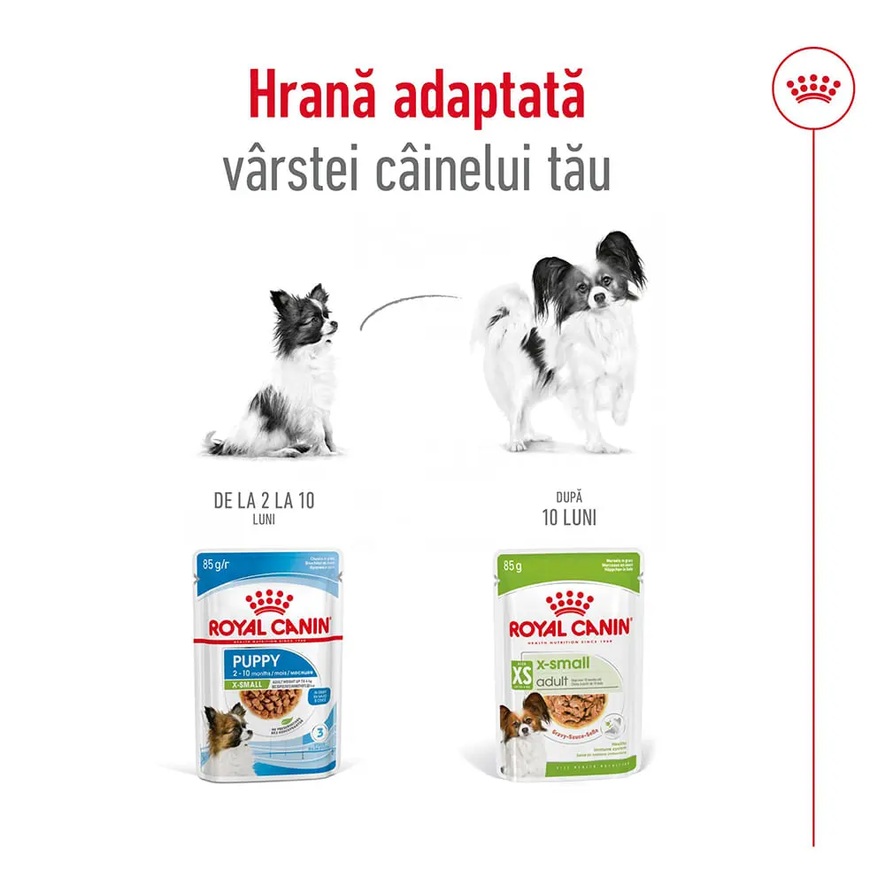 ROYAL CANIN X-Small Adult hrana umeda caini (in sos), bax, 85g x 12buc - Image 7