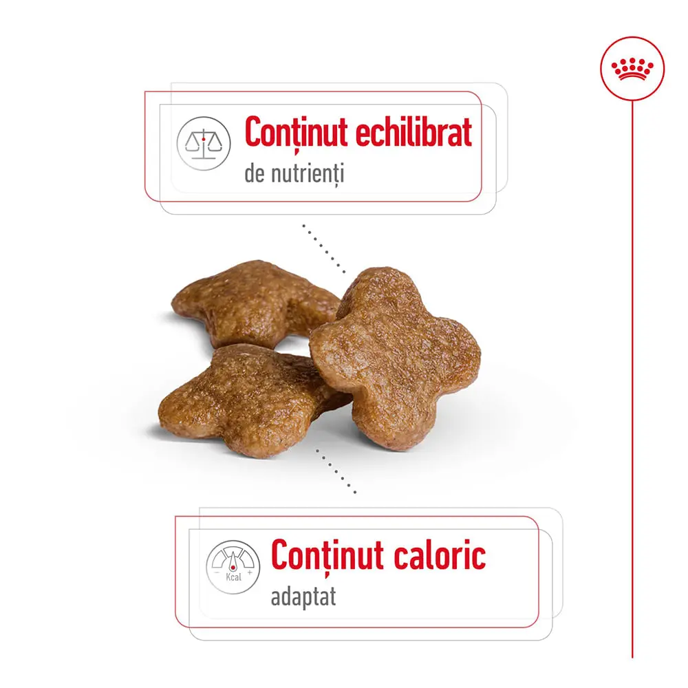 ROYAL CANIN Mini Adult 8+, hrana uscata caini, 2kg - Image 4