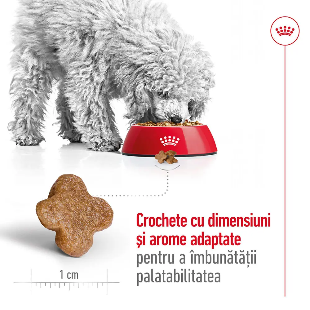 ROYAL CANIN Mini Adult 8+, hrana uscata caini, 2kg - Image 5