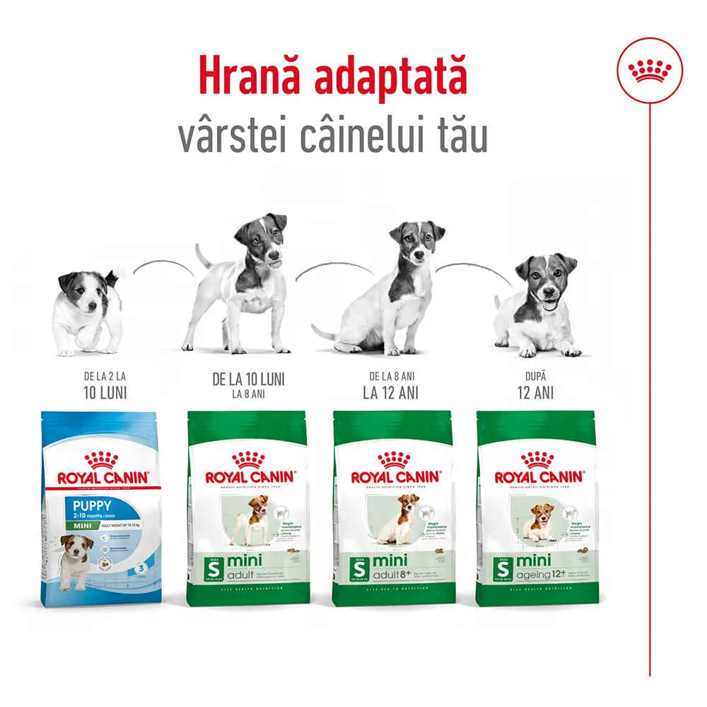 ROYAL CANIN Mini Adult 8+, hrana uscata caini, 2kg - Image 11