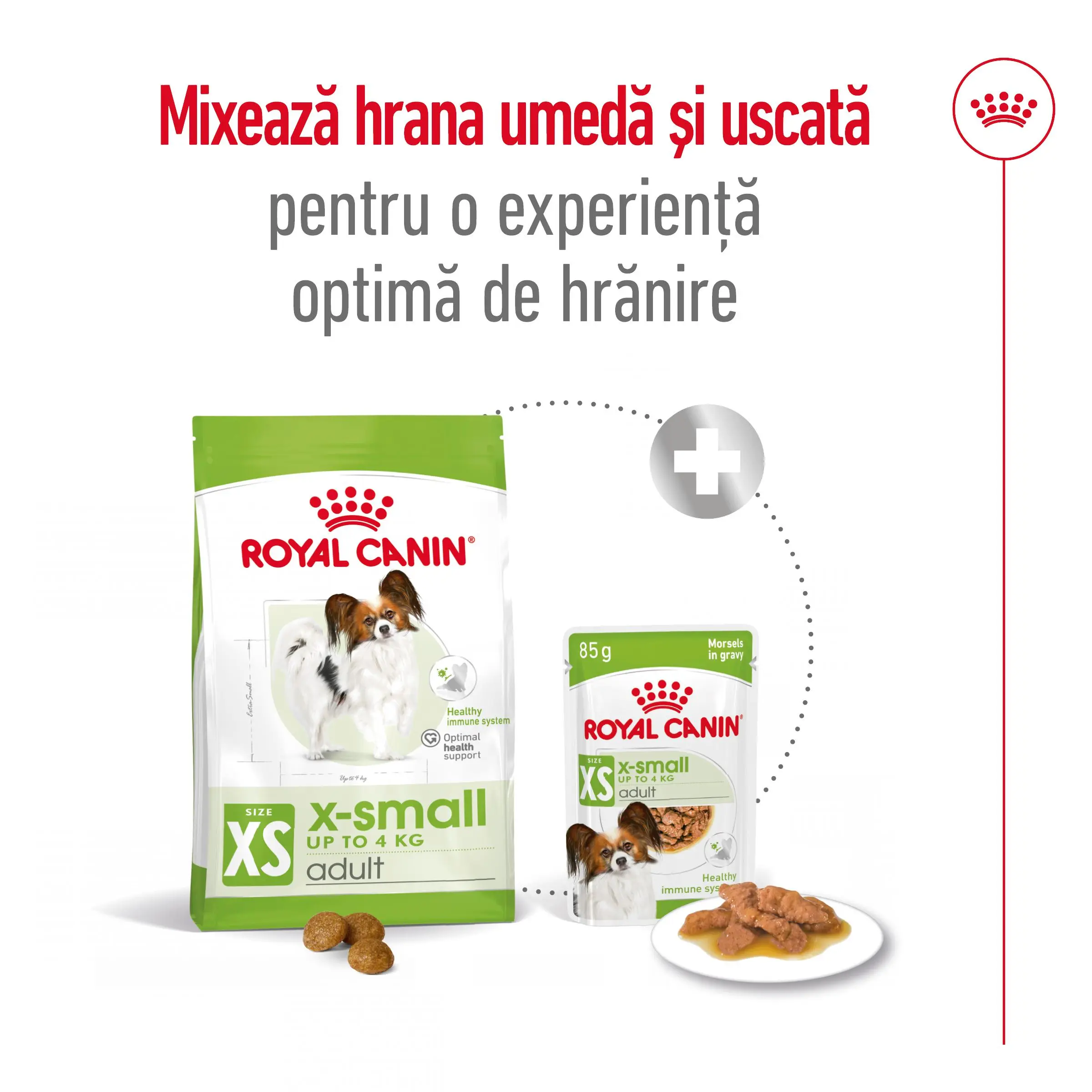 ROYAL CANIN X-Small Adult, hrana uscata caini, 3kg - Image 9