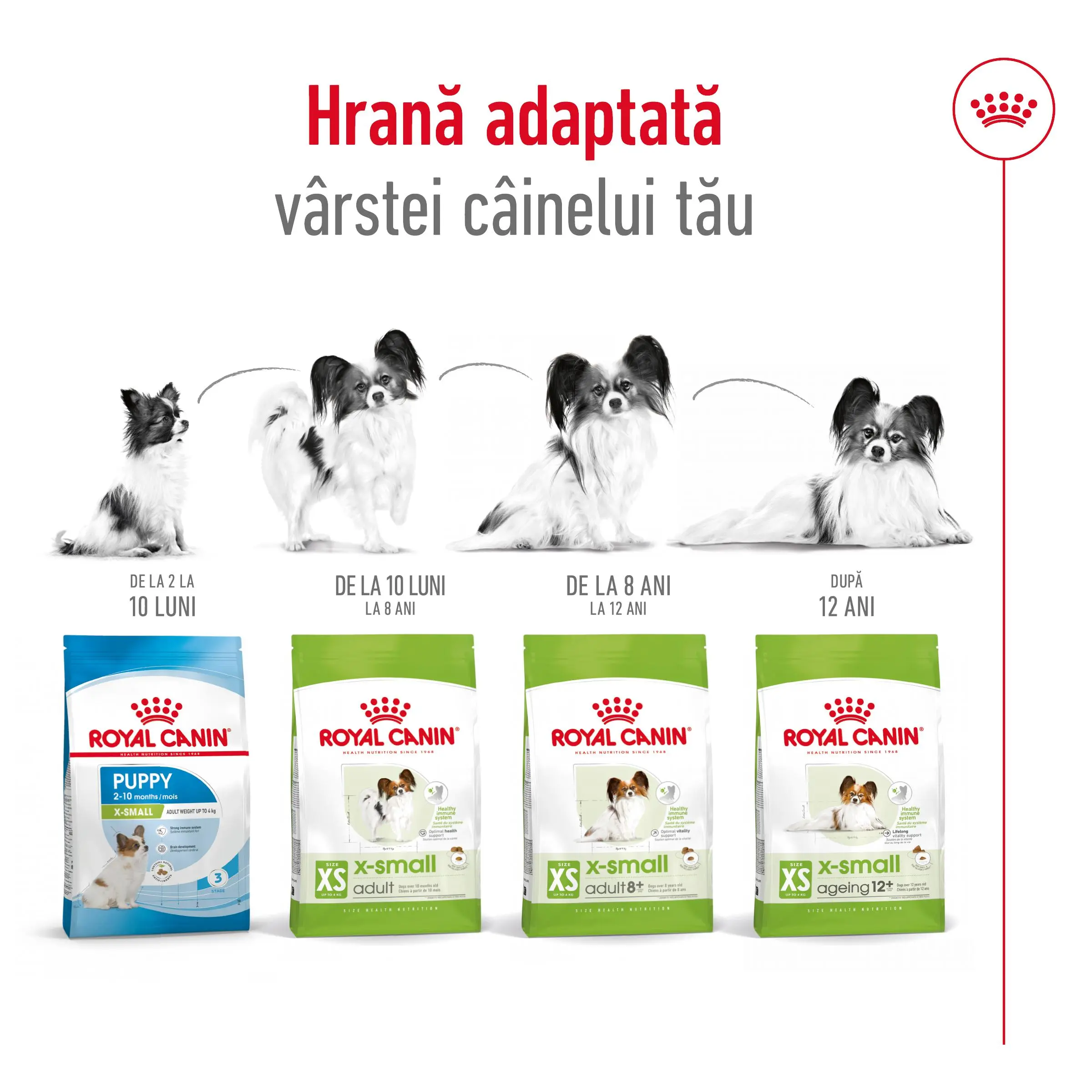 ROYAL CANIN X-Small Adult, hrana uscata caini, 3kg - Image 10