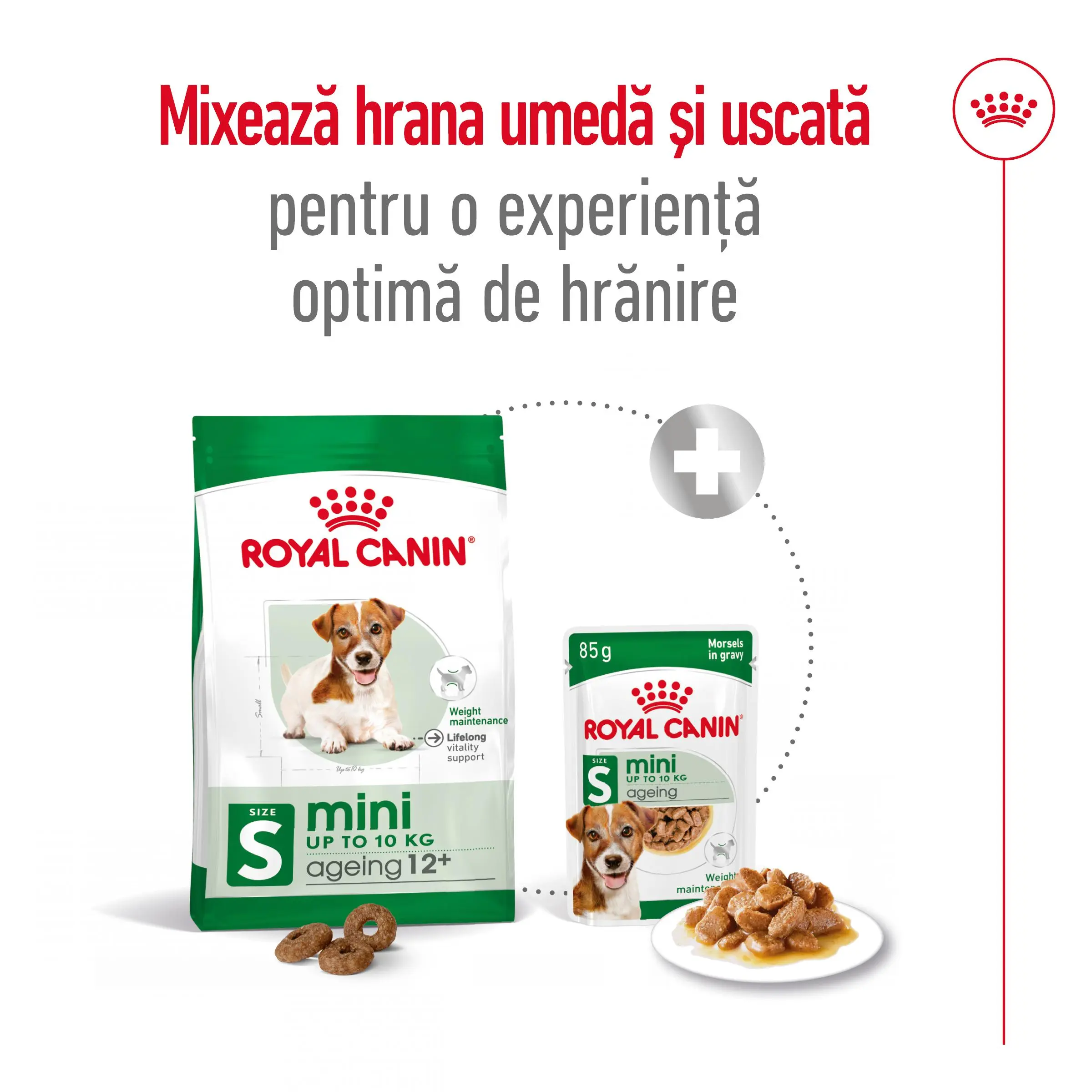ROYAL CANIN Mini Ageing 12+, hrana uscata caini senior, 1.5kg - Image 9
