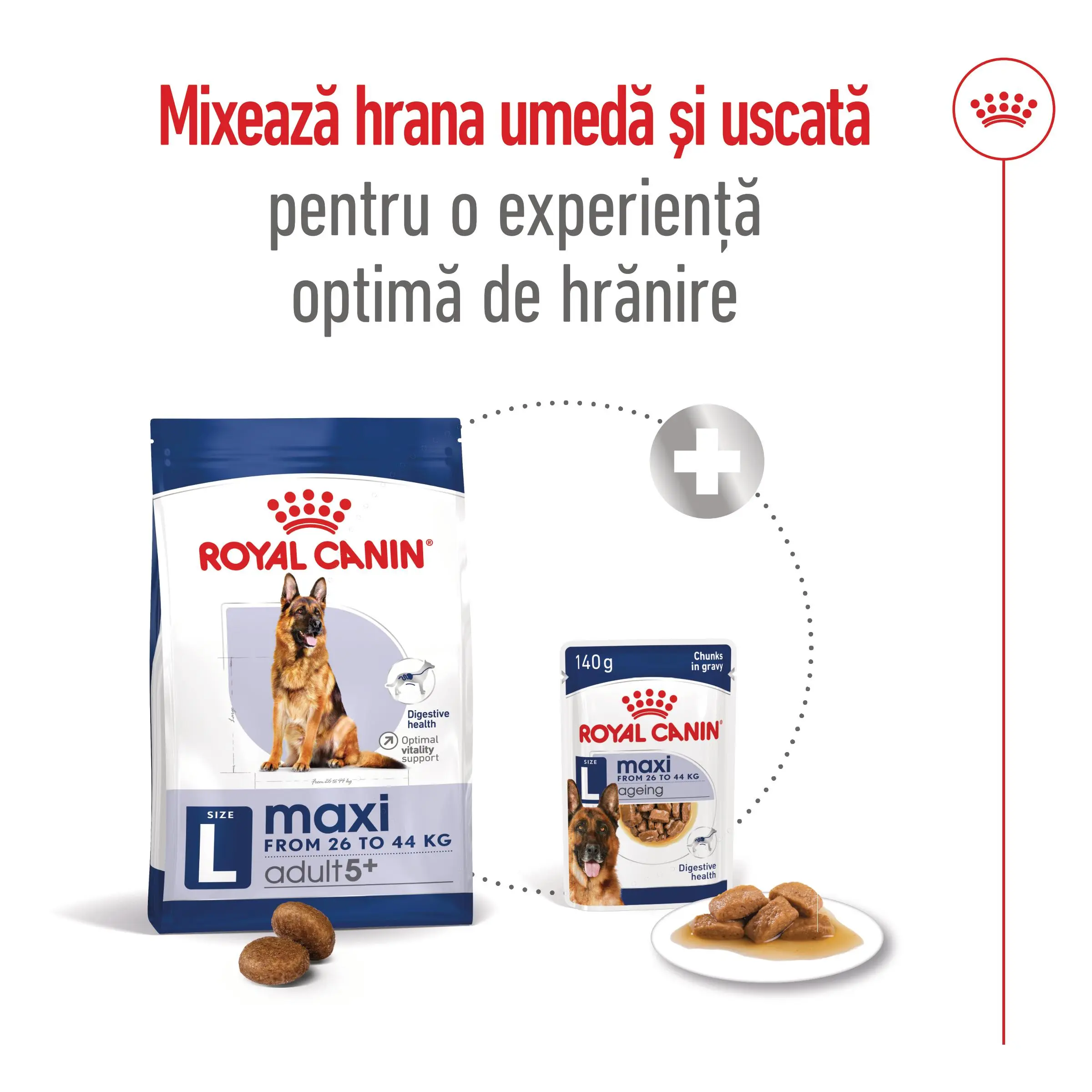 ROYAL CANIN Maxi Adult 5+, hrana uscata caini, 4kg - Image 9