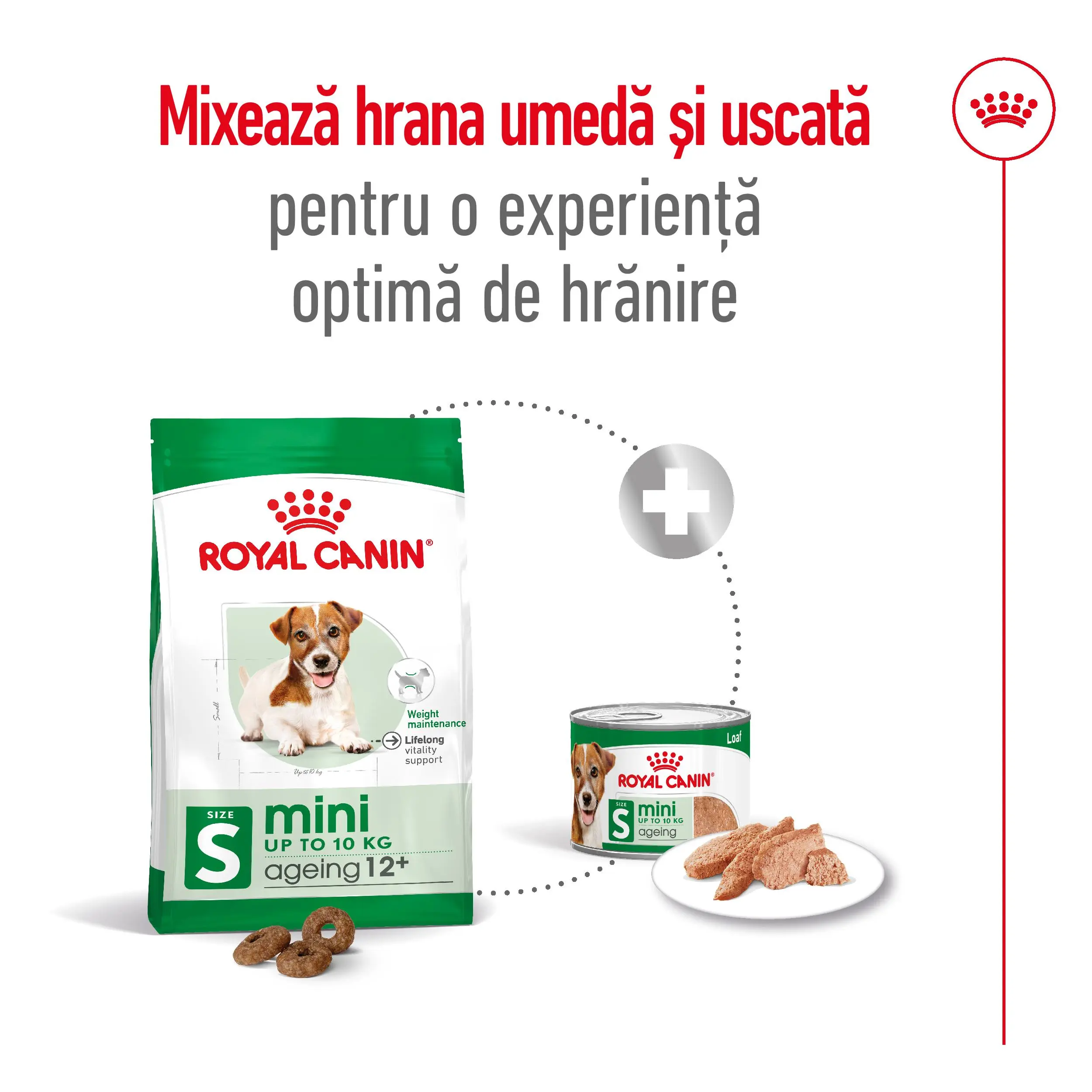 ROYAL CANIN Mini Ageing 12+, hrana uscata caini senior, 1.5kg - Image 10