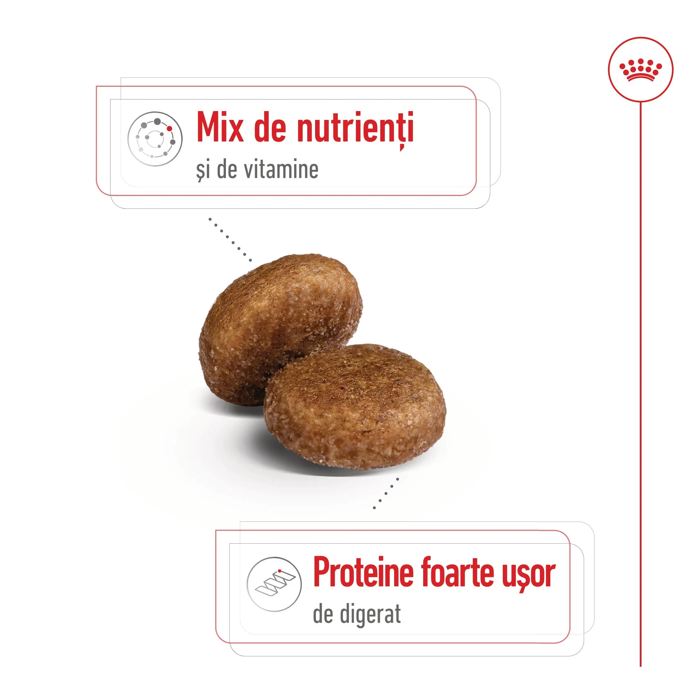 ROYAL CANIN Maxi Adult 5+, hrana uscata caini, 15kg - Image 4