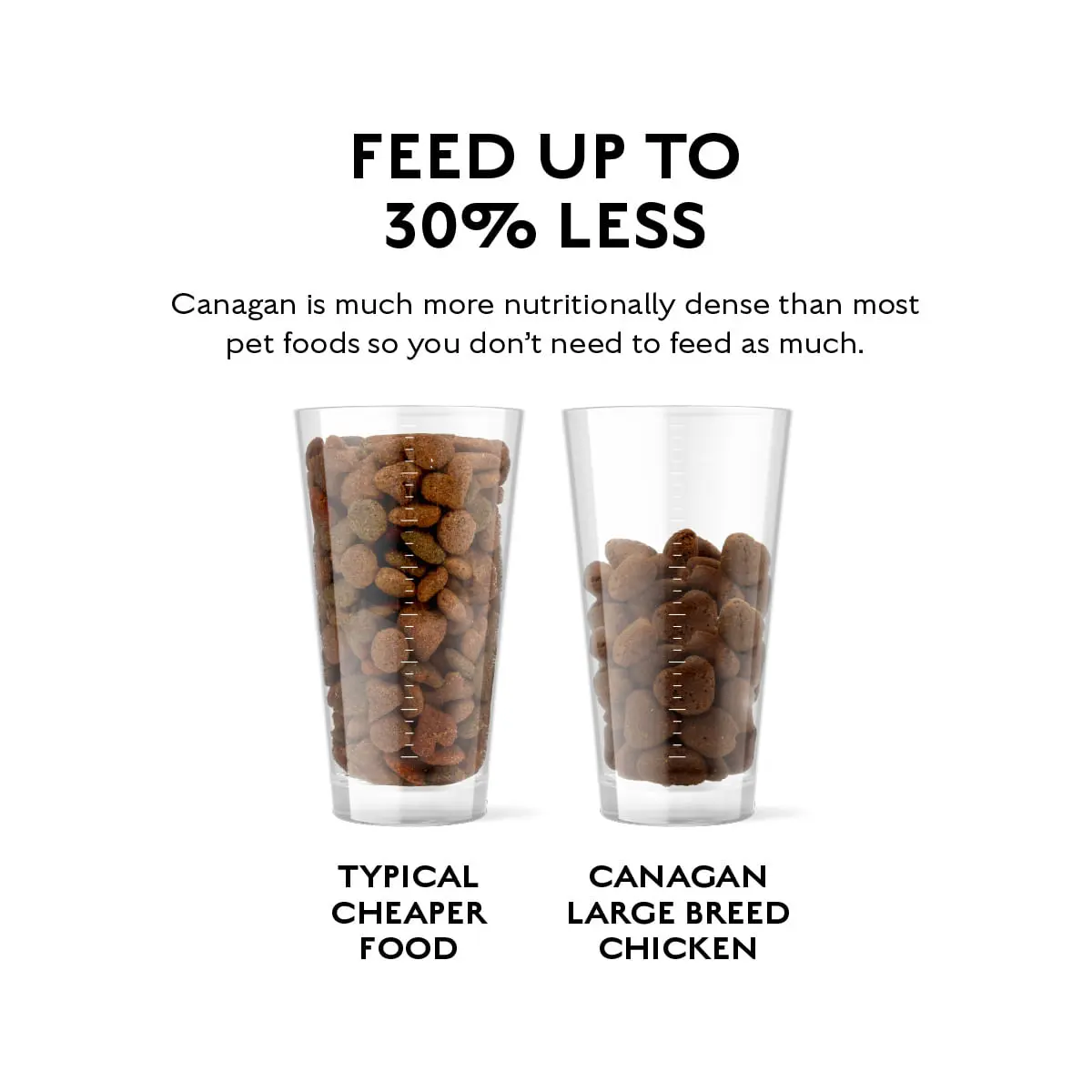 CANAGAN Large Breed, L-XL, Pui, hrana uscata fara cereale caini junior & adult, 2kg - Image 6