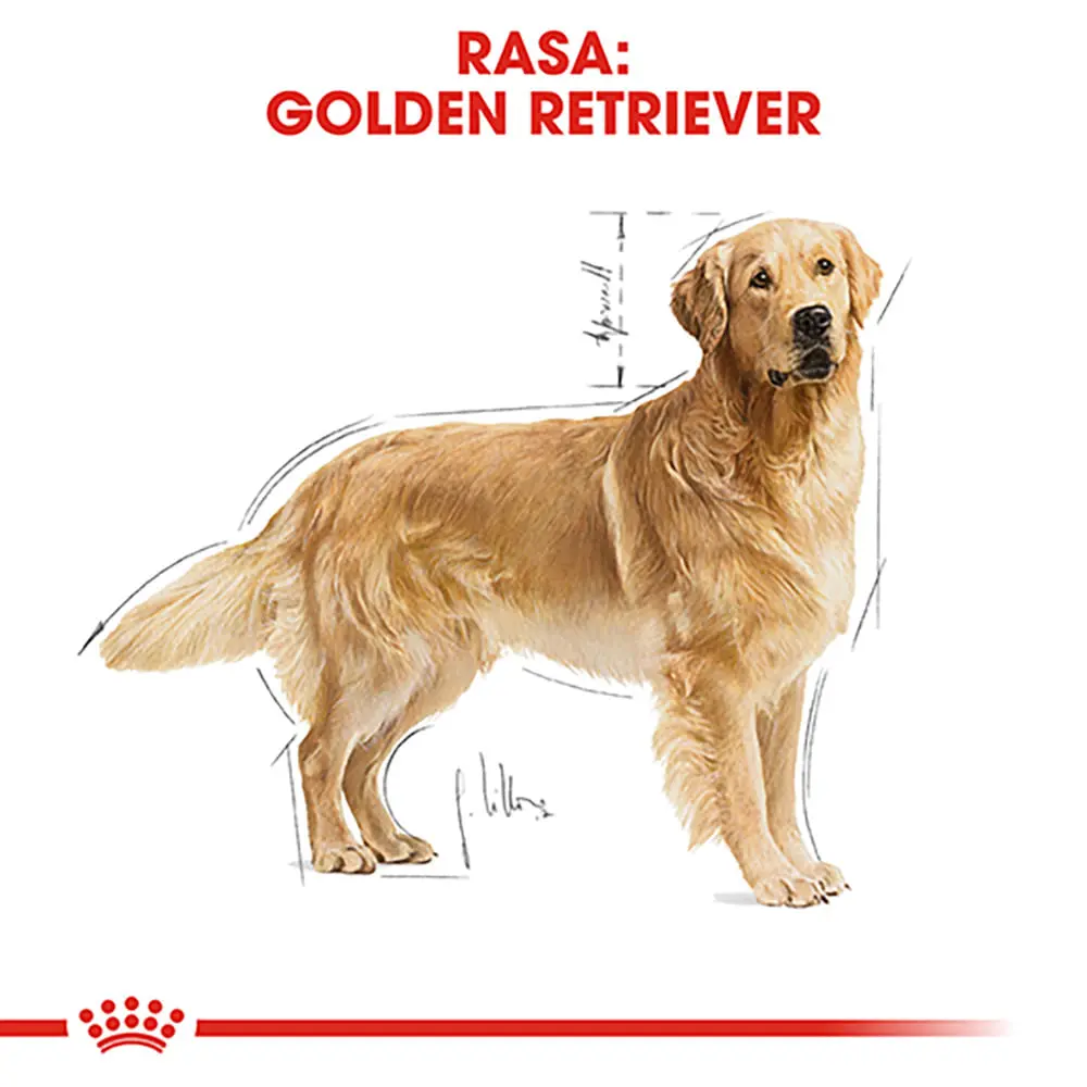ROYAL CANIN Golden Retriever Adult, hrana uscata caini, 3kg - Image 4