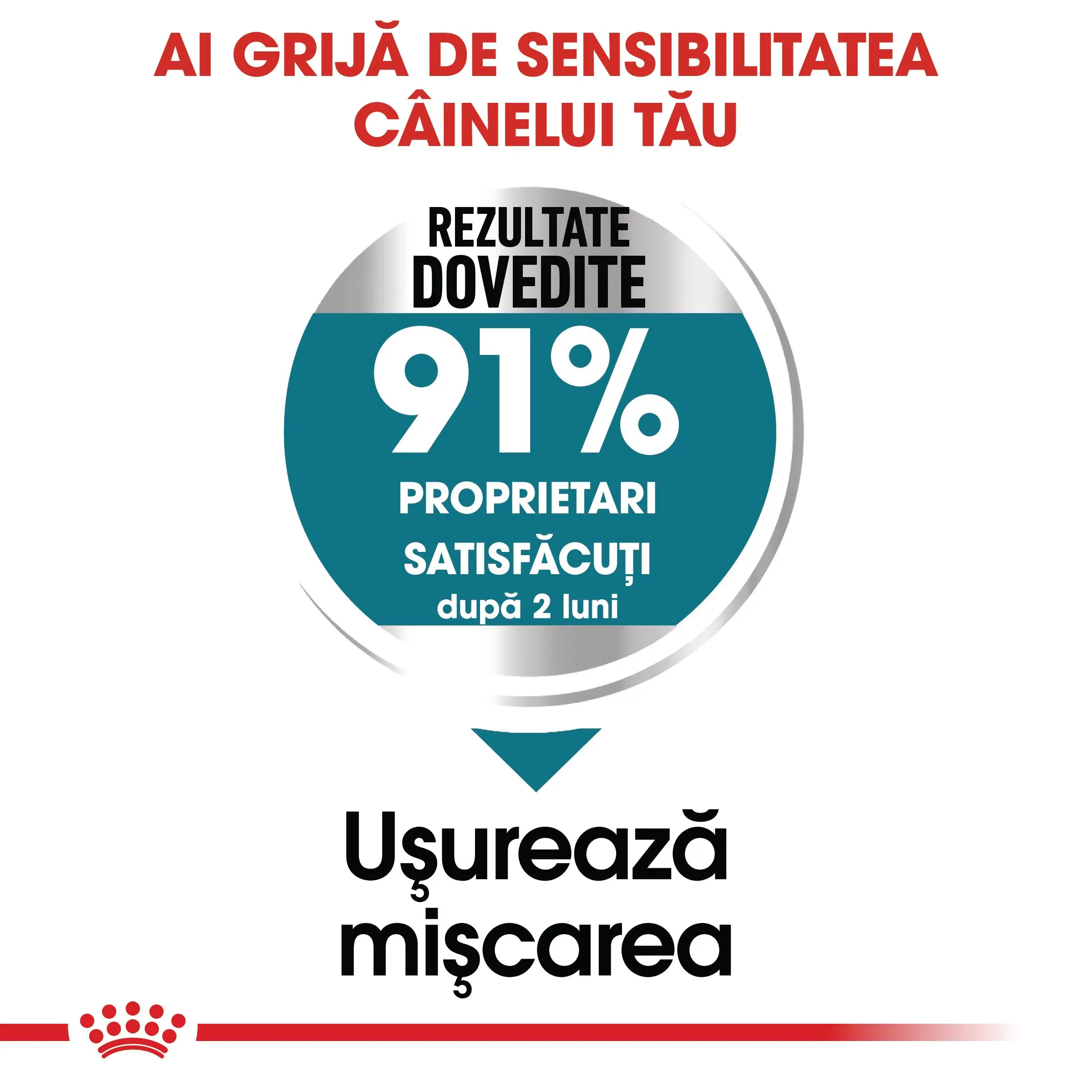ROYAL CANIN Maxi Joint Care, hrana uscata caini, ingrijirea articulatiilor, 10kg - Image 4