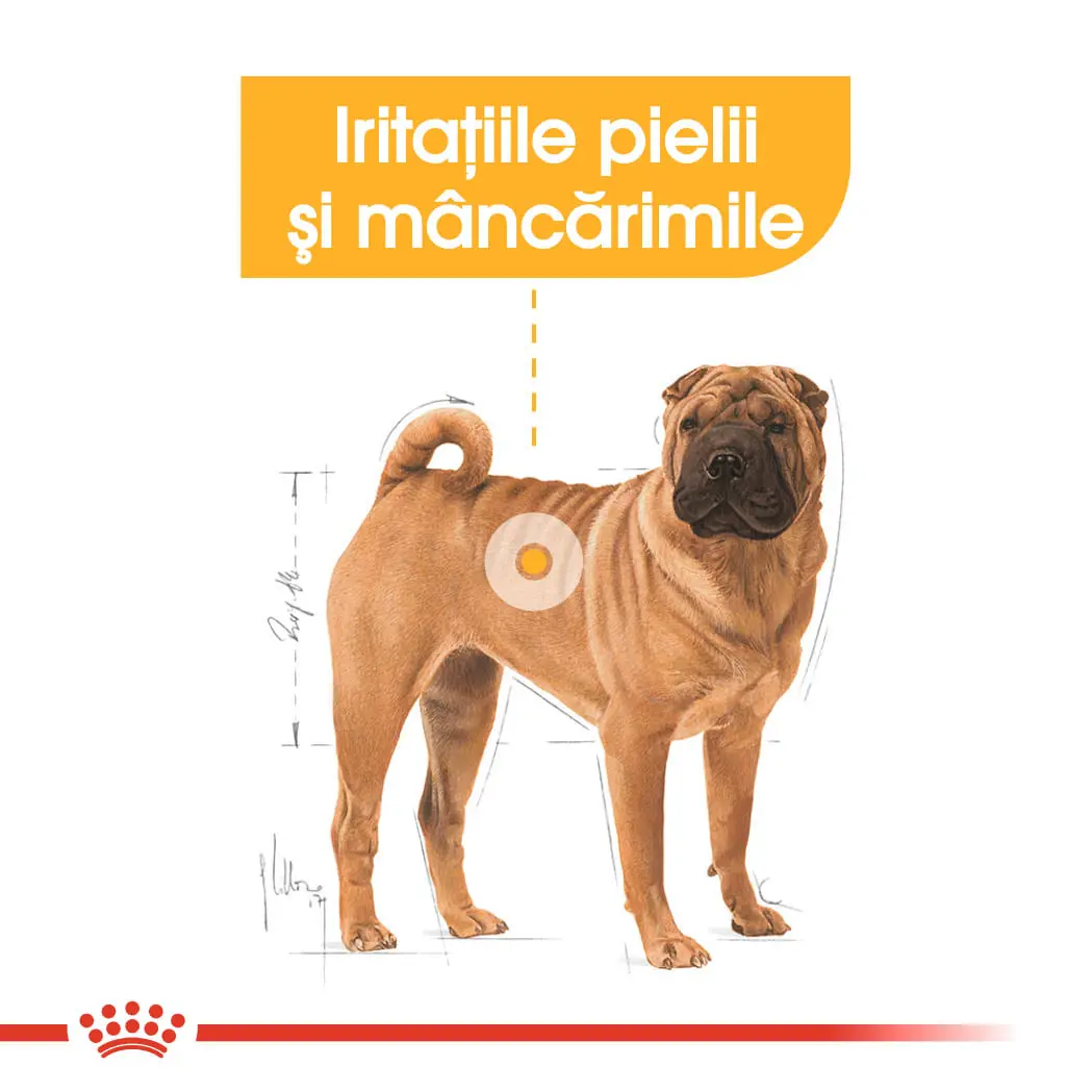 ROYAL CANIN Medium Dermacomfort, hrana uscata caini, prevenirea iritatiilor pielii, 3kg - Image 4